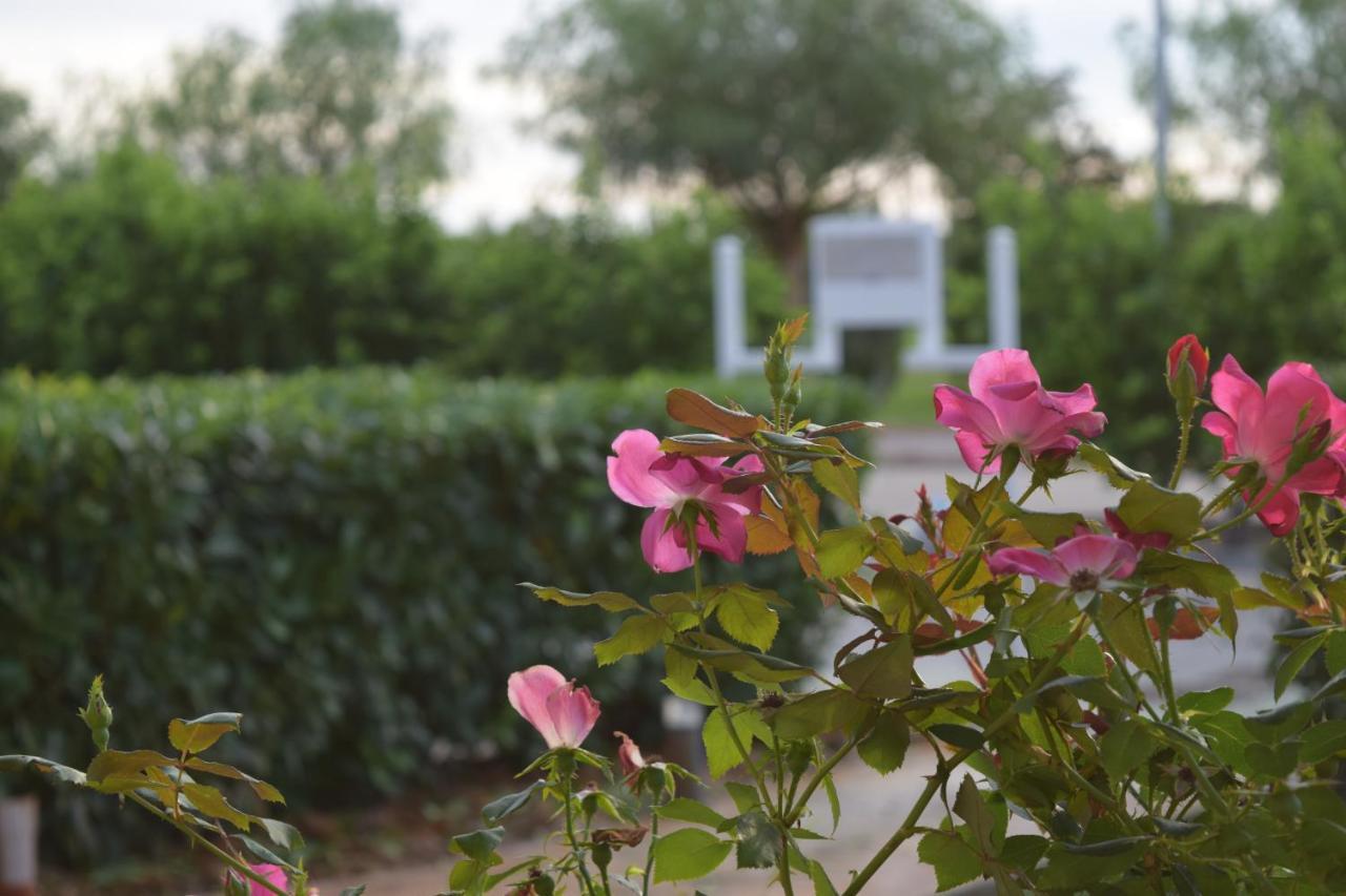 Agri-Resort Luxury Farm Мариляно Екстериор снимка